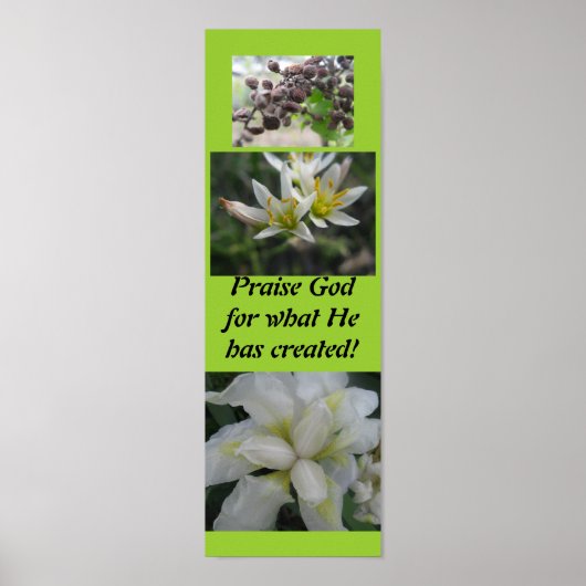 神の創造を賛美せよ！ ポスター (正面)