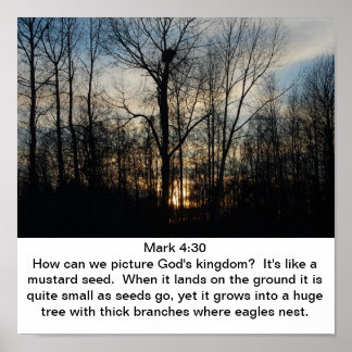 神の国の巣 ポスター