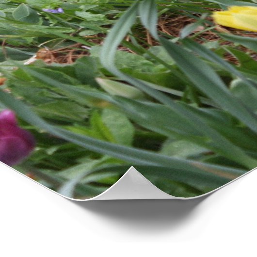 神の園 ポスター (角)