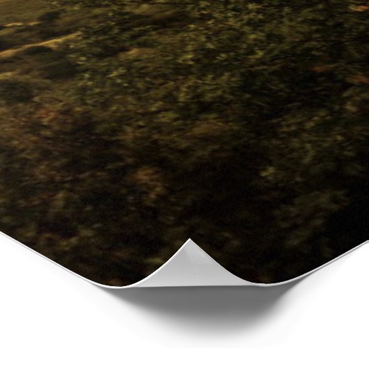 「神の奇跡は救素晴らしい」予言的 ポスター (角)