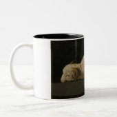 神の子羊（アグヌスデイ）（犠牲の動物） ツートーンマグカップ (左)