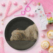 神の子羊（アグヌスデイ）（犠牲の動物） ペーパープレート (パーティー)