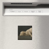 神の子羊（アグヌスデイ）（犠牲の動物） マグネット (インサイチュ (食洗機))