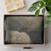 神の子羊（アグヌスデイ）（犠牲の動物） 薄葉紙 (ギフト)