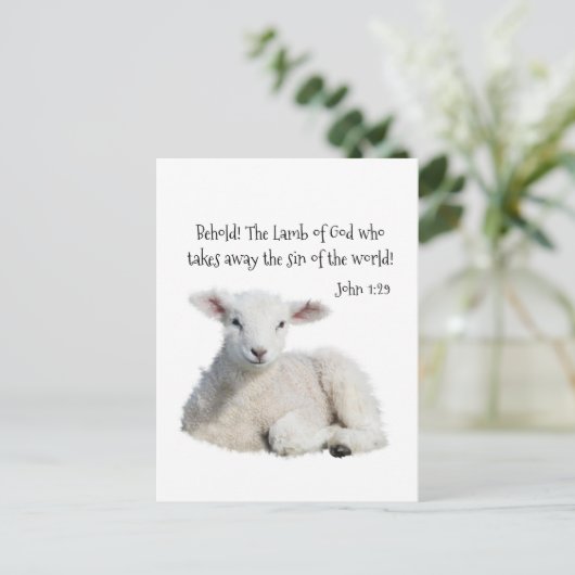 神の子羊 ポストカード (スタンド正面)