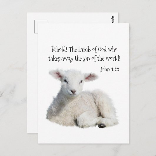 神の子羊 ポストカード (正面/裏面)