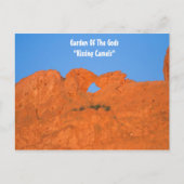 神の庭園「キッシングキャメル」ポストカード ポストカード (正面)