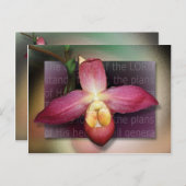 神の心の計画 ポストカード (正面/裏面)