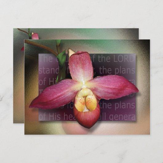 神の心の計画 ポストカード (正面/裏面)