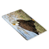 『神の恵みのアメリカ』ボード·イーグルが曲がりくねって4x6磁石 マグネット (右側)