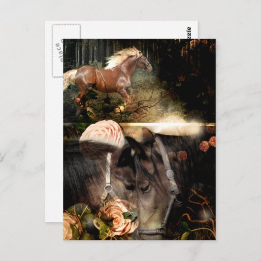 神の愛に根ざした ポストカード (正面/裏面)