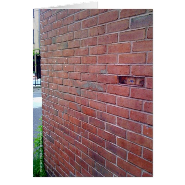 神の愛のため、montresor! (正面)