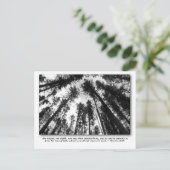 神の愛のポストカード ポストカード (スタンド正面)