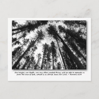 神の愛のポストカード ポストカード