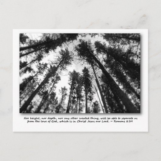 神の愛のポストカード ポストカード (正面)