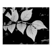 神の手仕事 ラバースタンプ (インプリント)