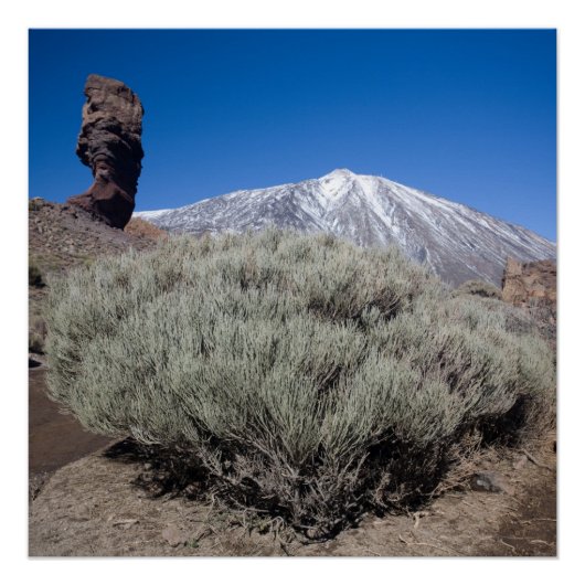 神の指 ポスター (正面)