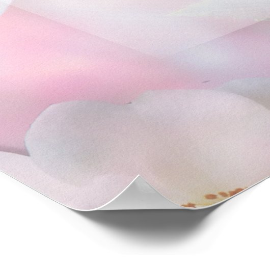 神の救済日々 ポスター (角)