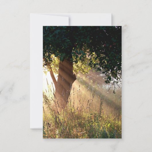 神の木の悔やみや弔慰カードの指 カード (裏面)