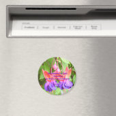 神の模倣者である マグネット (インサイチュ (食洗機))