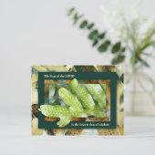 神の知恵 ポストカード (スタンド正面)