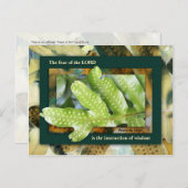 神の知恵 ポストカード (正面/裏面)