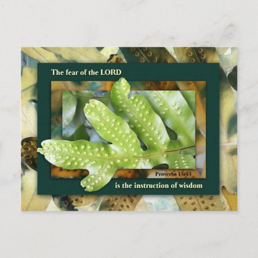 神の知恵 ポストカード (正面)