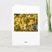 神の秋の栄光 カード (裏面)