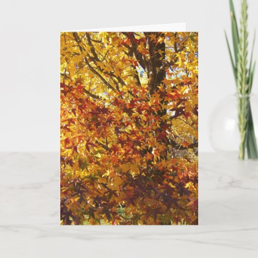 神の秋の栄光 カード (正面)