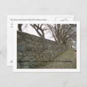 神の素晴らし好奇心の壁 ポストカード (正面/裏面)