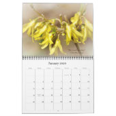 神の美しい世界暦#6 カレンダー (1月 2026)