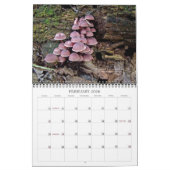 神の美しい世界#4 カレンダー (2月 2026)