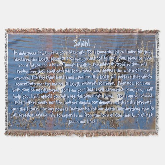 神の聖なる書物、経典の約束はブランケットを引込めます スローブランケット (正面)