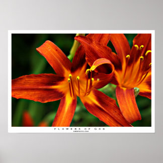 神の花 ポスター