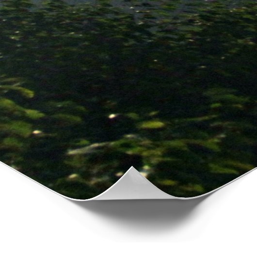 神の荒野に世界の希望がある。 ポスター (角)