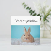 神の親になるか?ブラウン·バニー カード (スタンド正面)