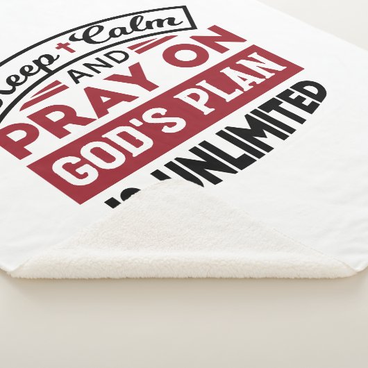 神の計保画は無引用文である シェルパブランケット (3/4)