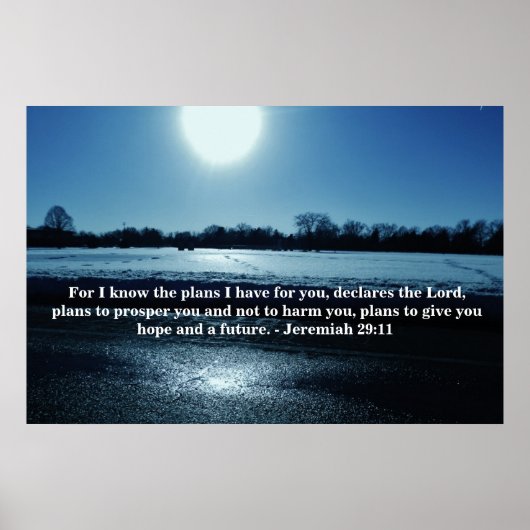 神の計画 ポスター (正面)