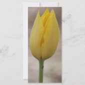 神の赦しと恵みの祈りの言葉 (裏面)