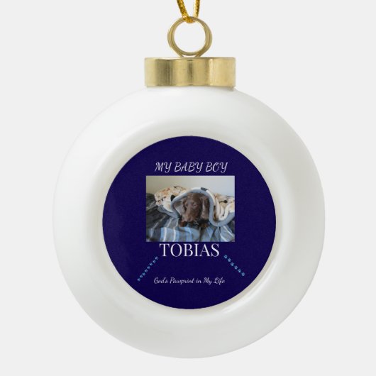 神の足跡 ライト トレイル ケア証明 セラミックボールオーナメント (正面)