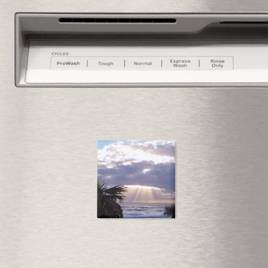 神の雲 マグネット (インサイチュ (食洗機))