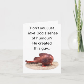 神の風変わりな創造 ノートカード