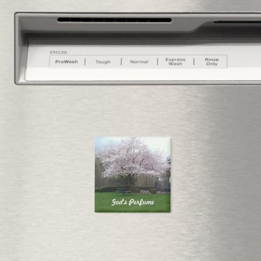 神の香水 マグネット (インサイチュ (食洗機))