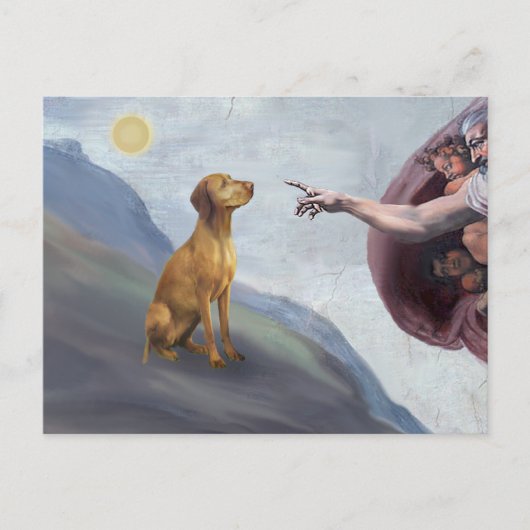 神のVizsla ポストカード (正面)