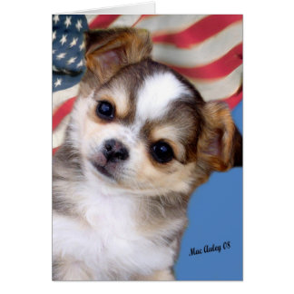 神はアメリカを賛美します