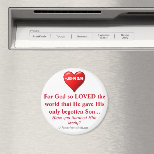 神は世を愛されたヨハネ3:16 マグネット (インサイチュ (食洗機))
