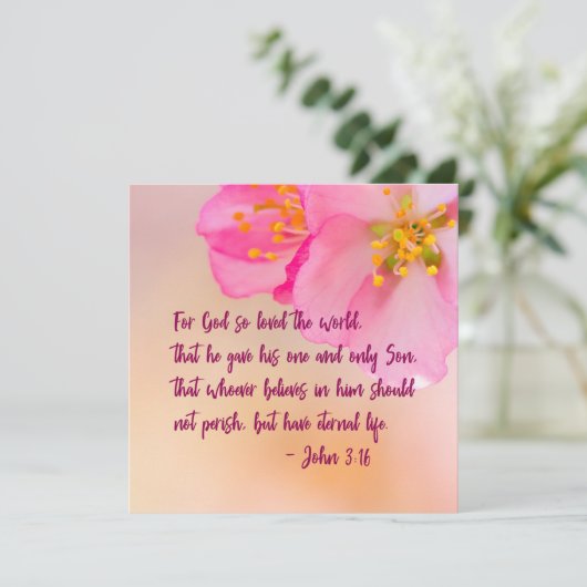 神は世界のキリスト教のフローラを愛した (スタンド正面)