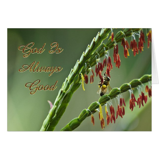 神は善い人だ (正面横)