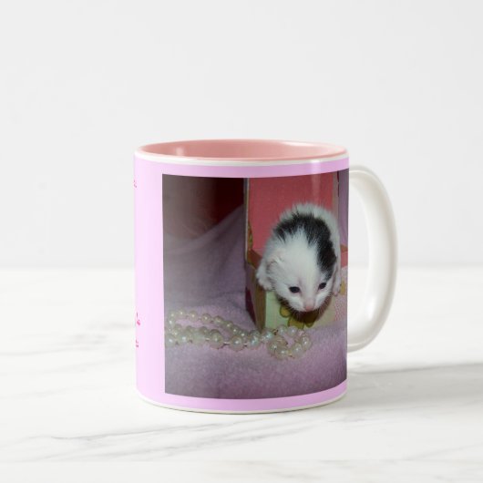 神は子ネコにxtraの菓子をしました! ツートーンマグカップ (正面右)