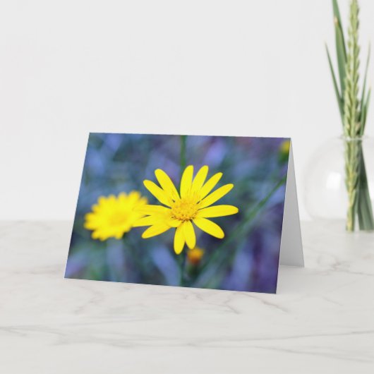 神は平和を与えるように(中) カード (正面)